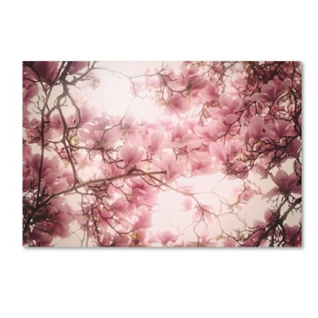 Philippe Sainte-Laudy 'Spring Colors' Canvas Art,22x32